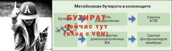 индика Дмитров